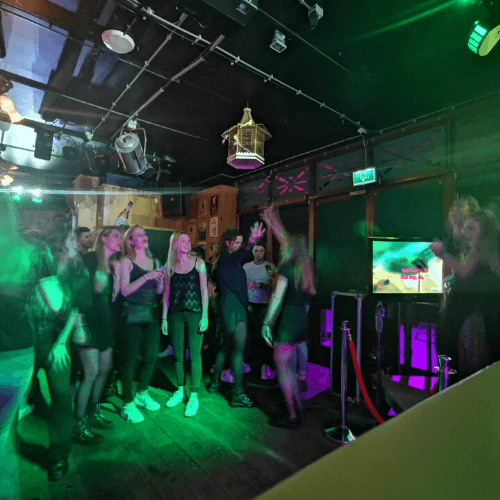 Karaoke-overijssel-themafeest-DJvoorjou